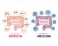 腸活！腸内フローラを整え免疫力を高める方法